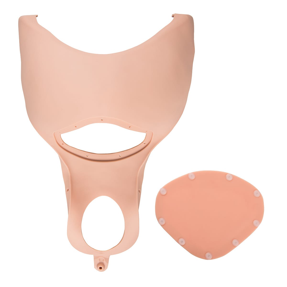 3B Scientific® Birthing Simulators