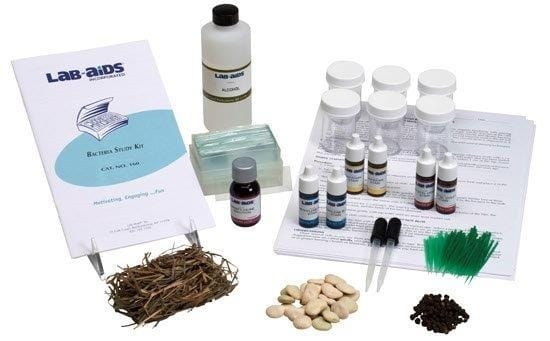 Lab-Aids® Bacteria Study Kit