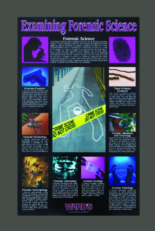 Ward's® Examining Forensic Science Poster