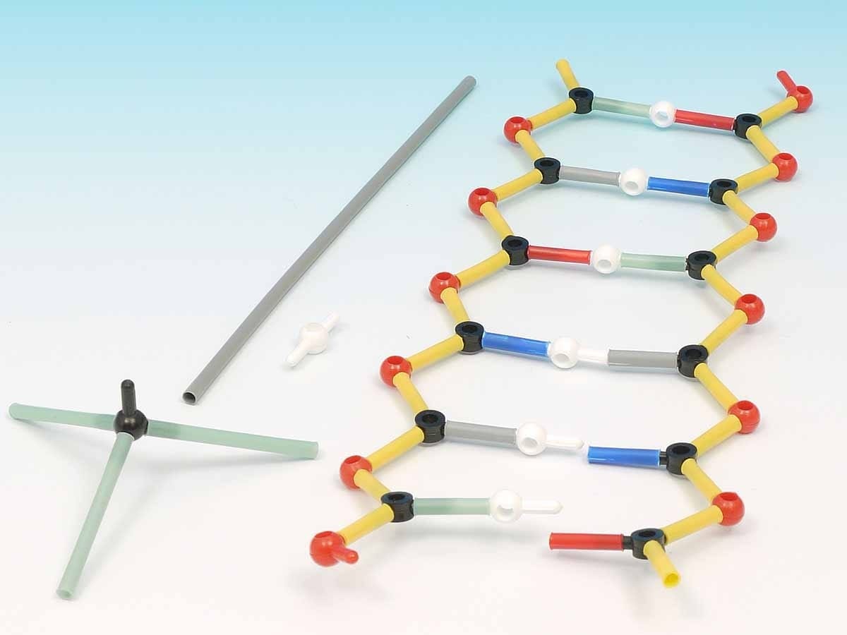 Orbit DNA Model