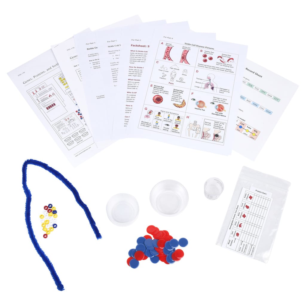 Science Take-Out®Genes, Proteins, and Sickle Cells
