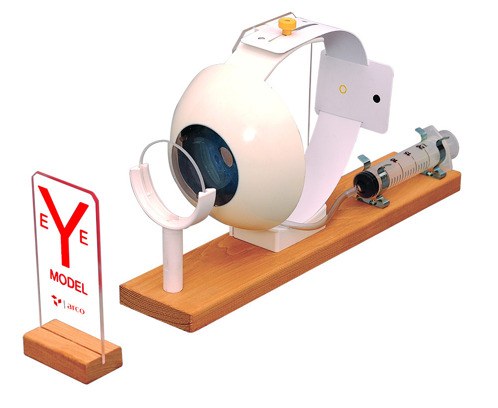 Functional Eye Model