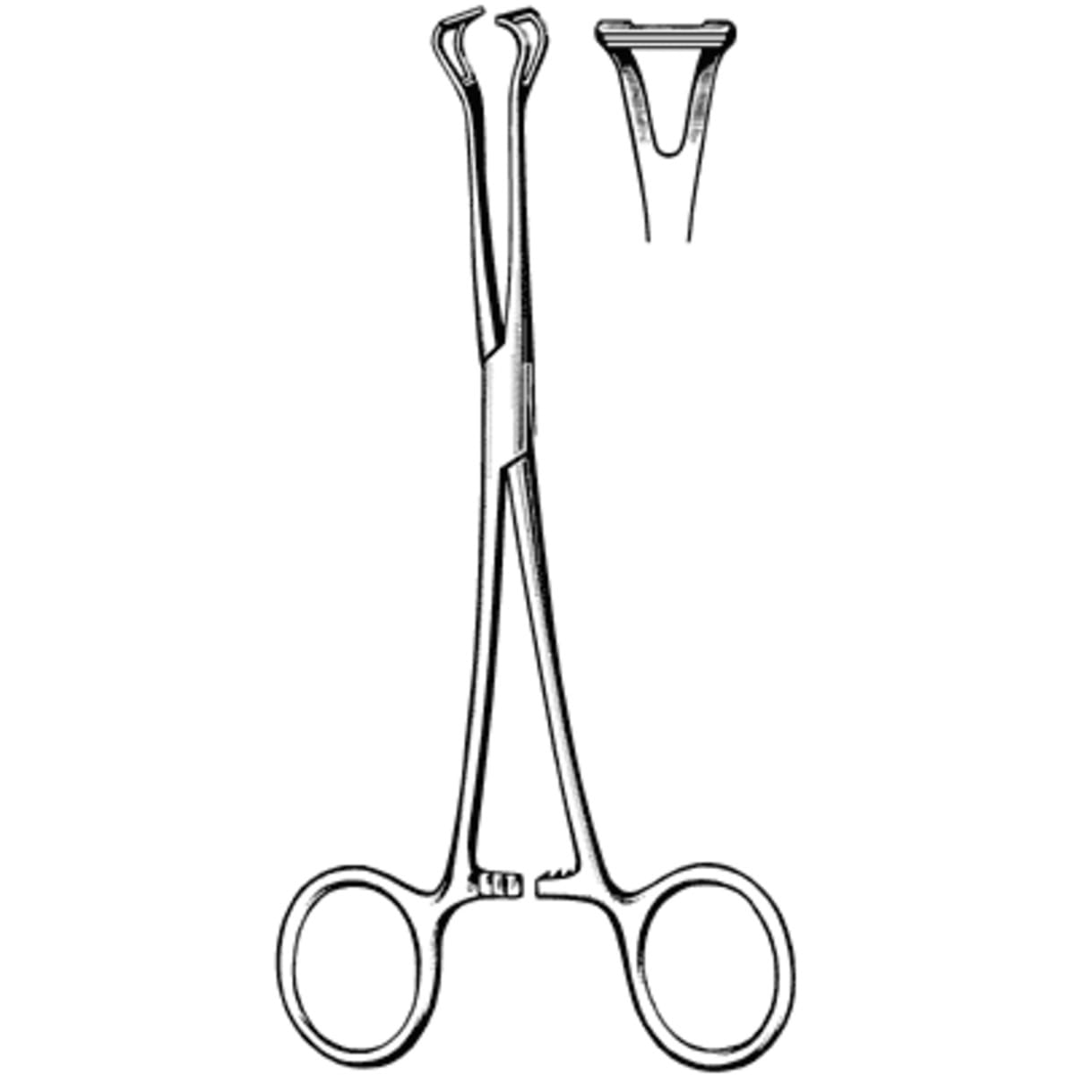 Surgi-OR™ Babcock Forceps, Mid Grade, Sklar | VWR, part of Avantor