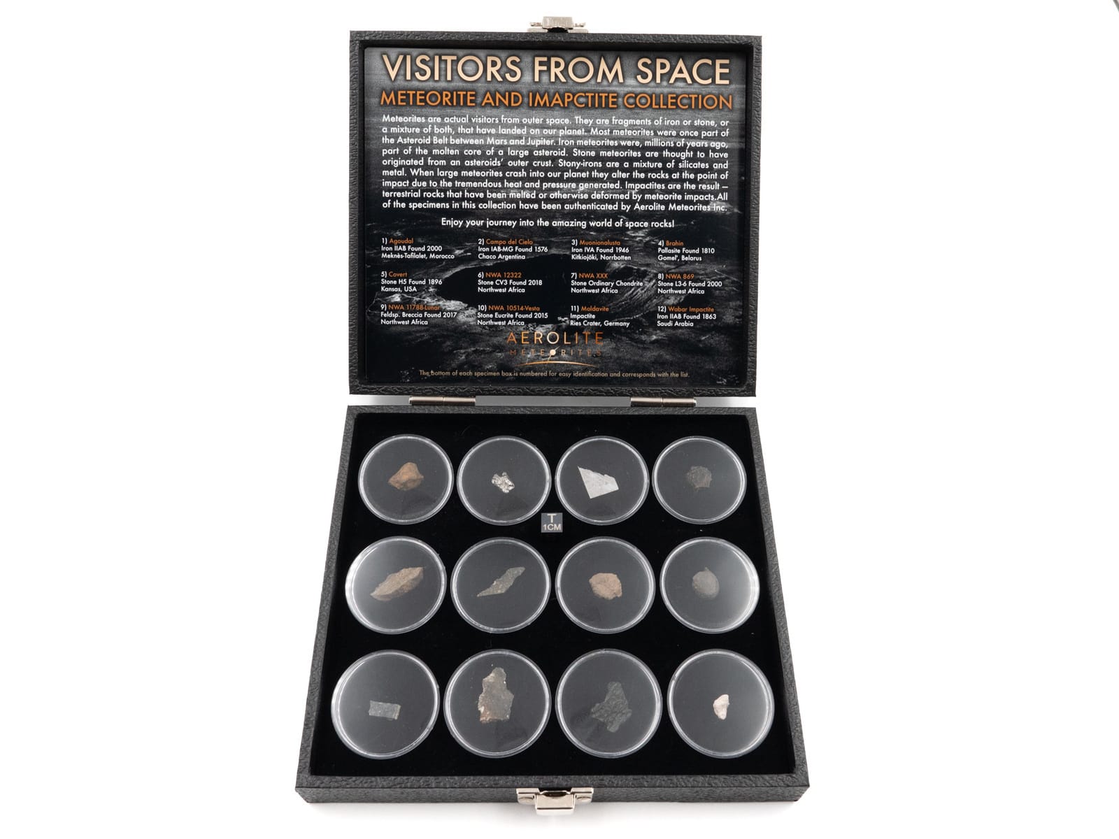 Visitors from Space: Mixed Meteorites, Pack of 12