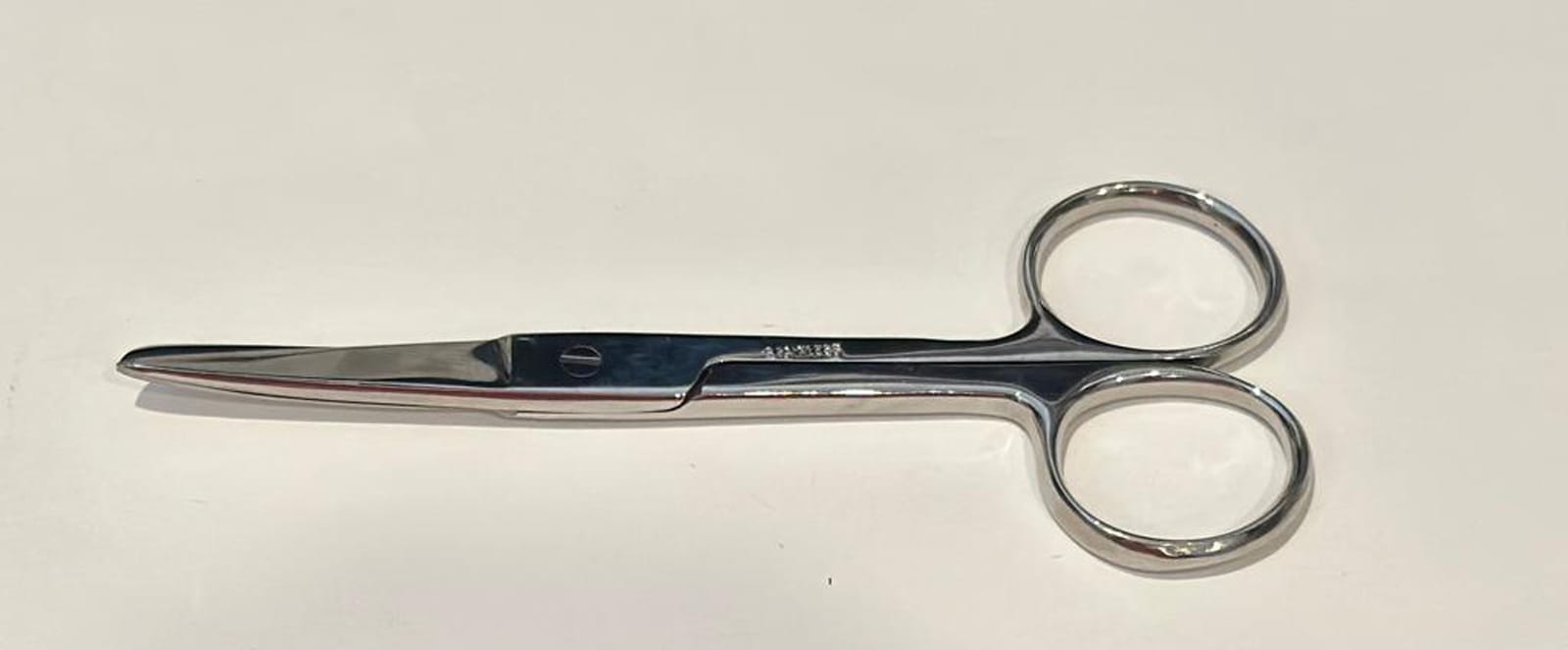 Surgical Style Scissors