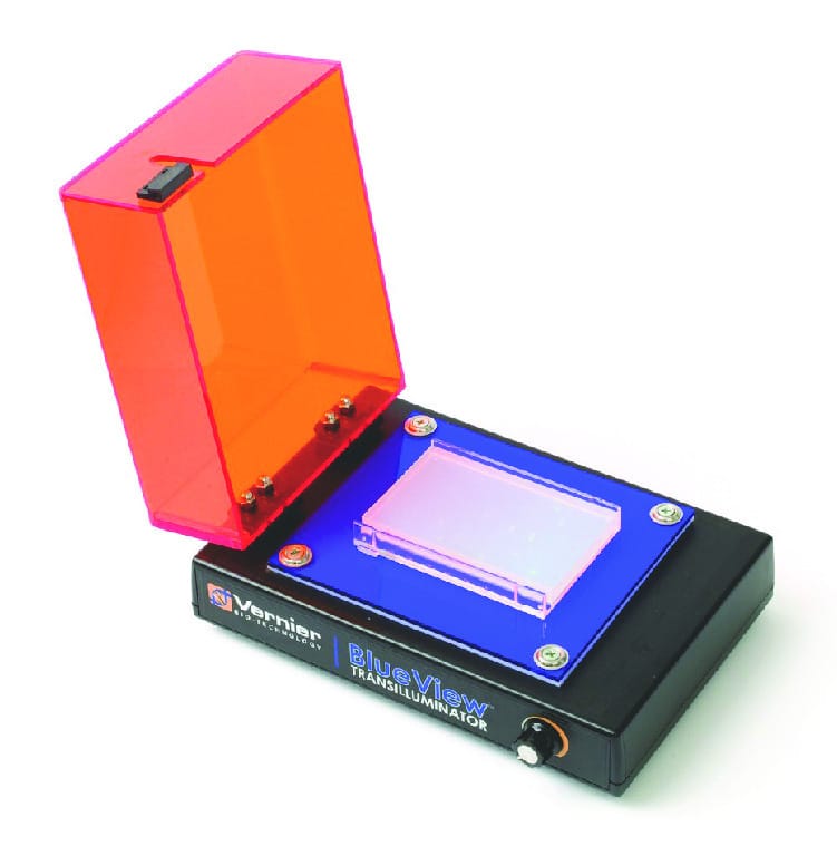 Vernier® BlueView Transilluminator