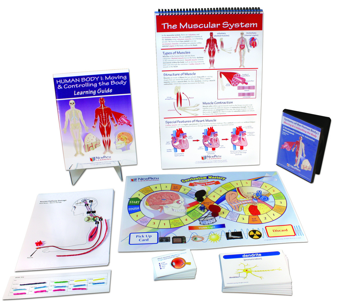 Human Body I: Moving and Controlling the Body Curriculum Learning Module