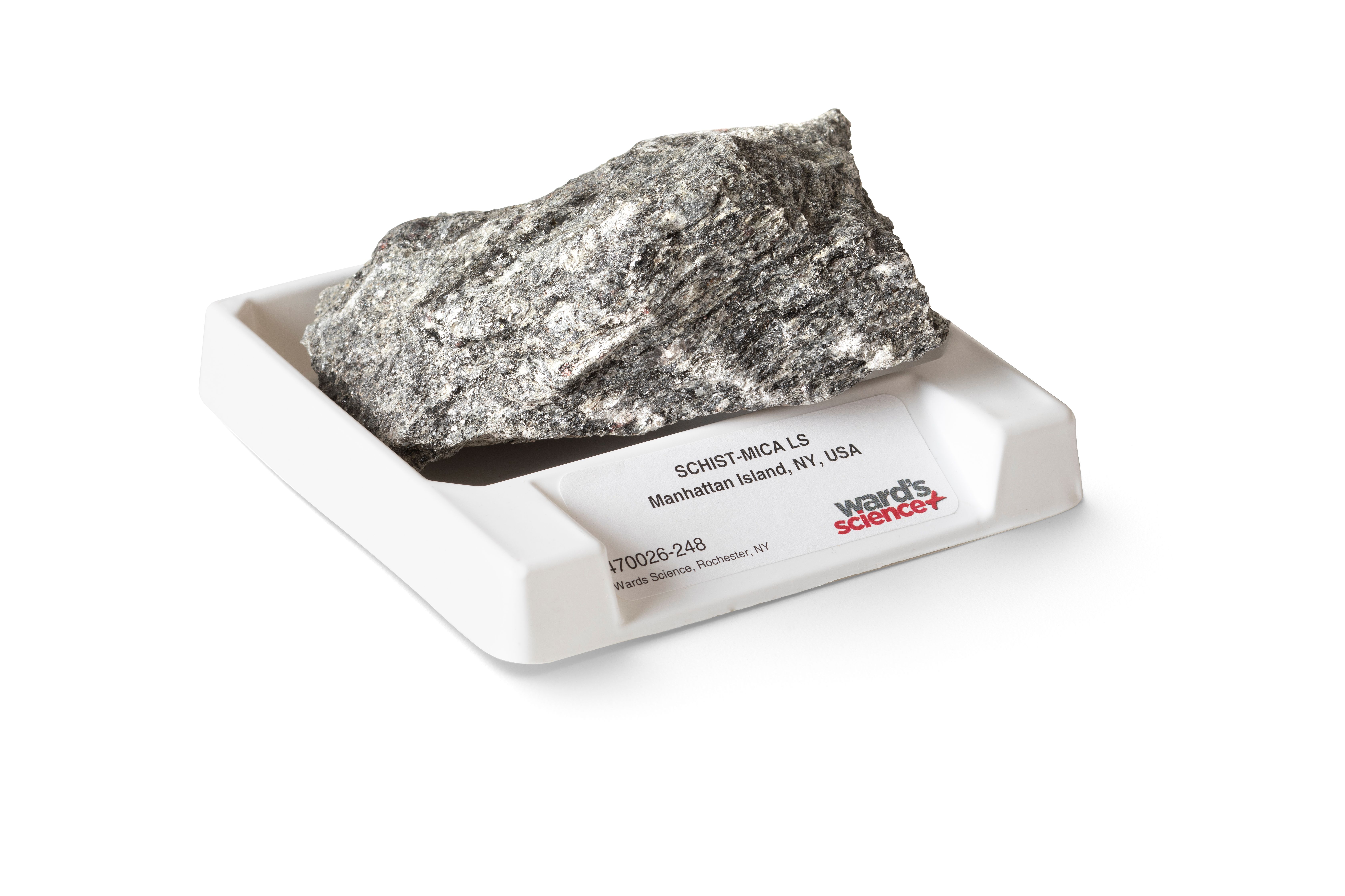Ward's® Schist (Mica)