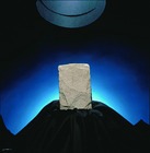 Ward's® Sandstone (Siliceous)