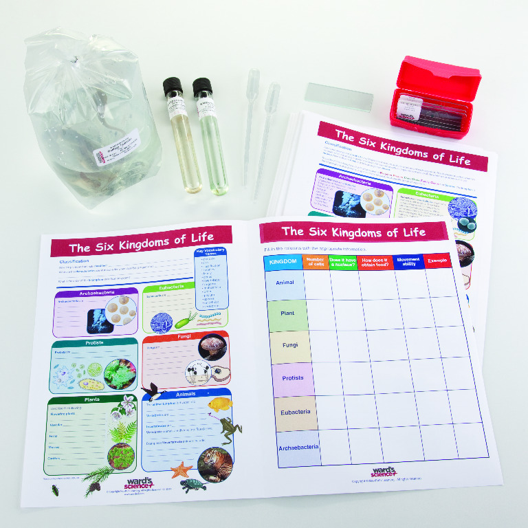 Ward's® Biology Collaborative Learning Bundles