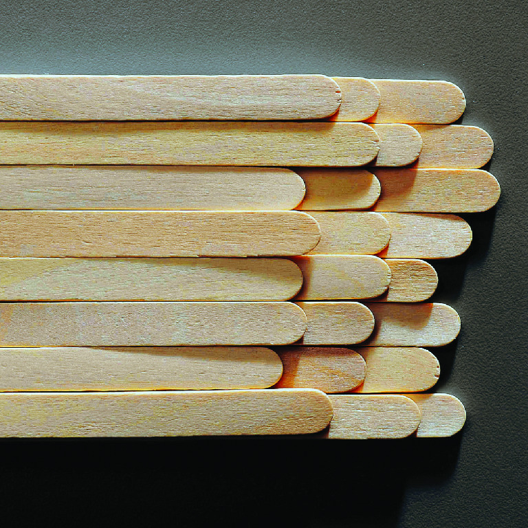 Craft Sticks