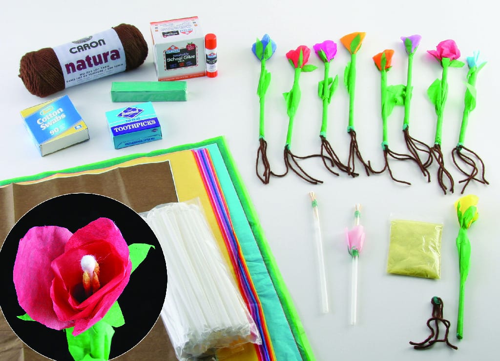 Build a Flowering Plant Model: An Inquiry