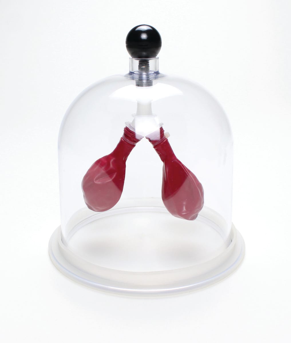 Lung Apparatus