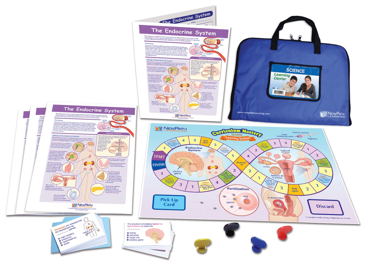 NewPath® Human Body Learning Centers