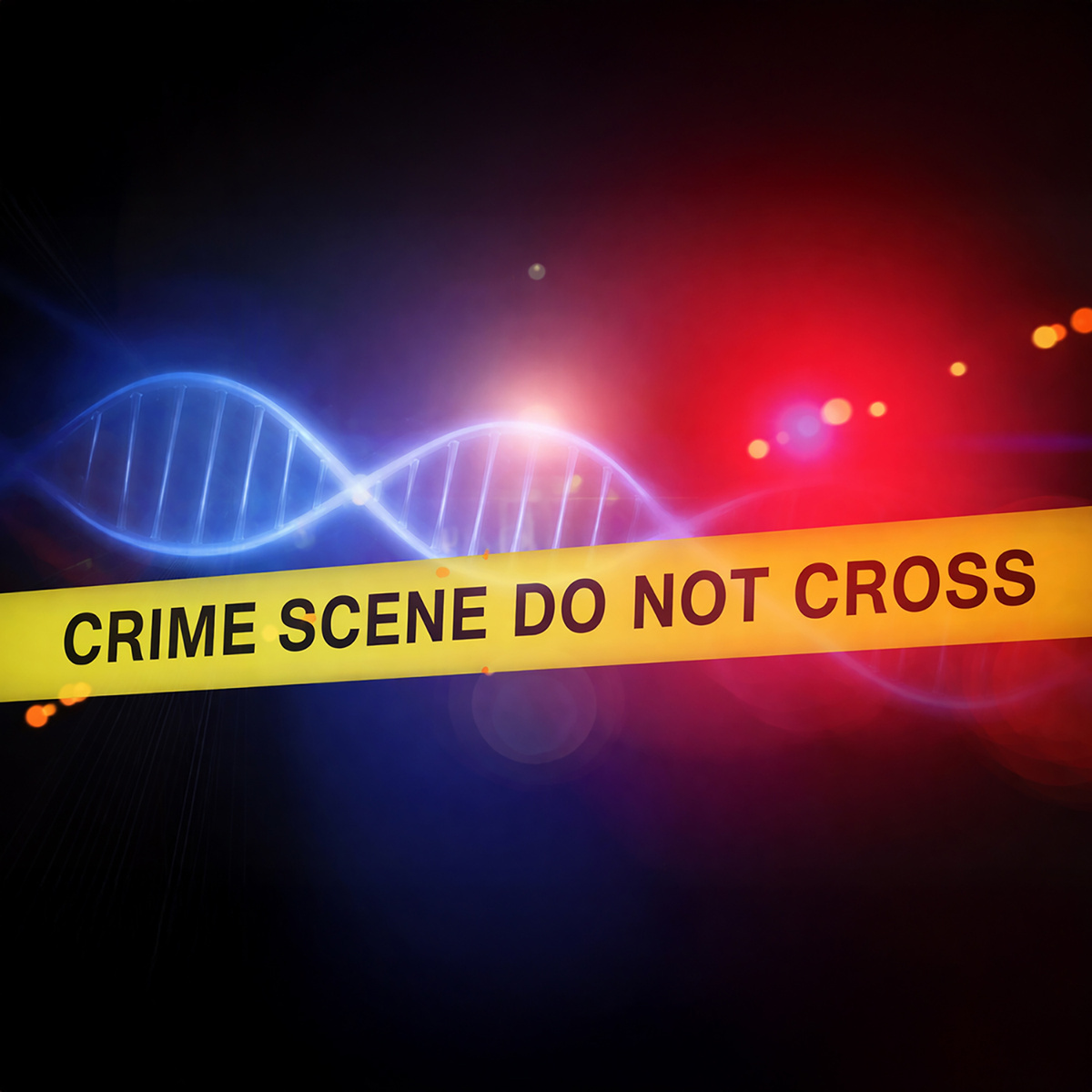 PCR-Based DNA Fingerprinting Kit