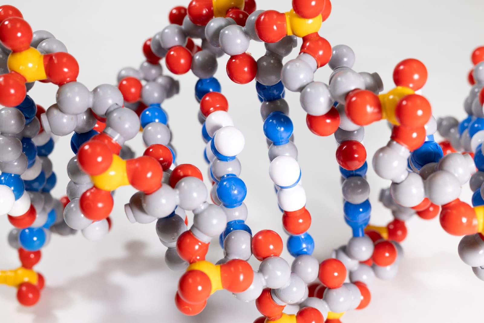 Dynamic DNA Kit