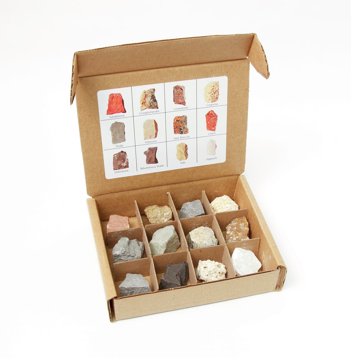 Ward's Science Essentials® Sedimentary Rocks Collection