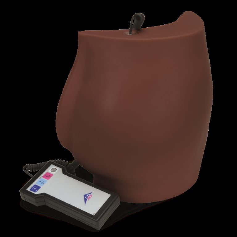 3B Scientific® Intramuscular Injection Simulators