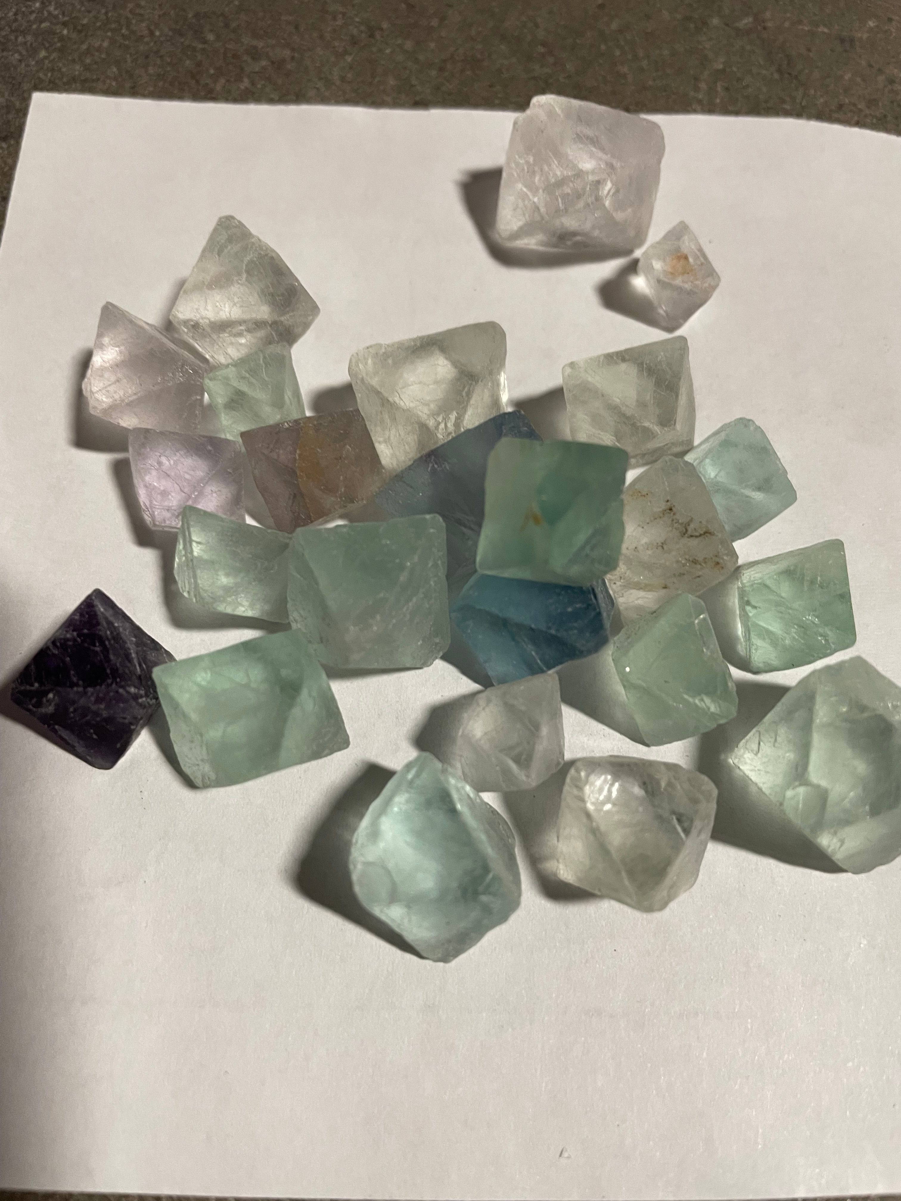 Ward's® Euhderal Fluorite Pack
