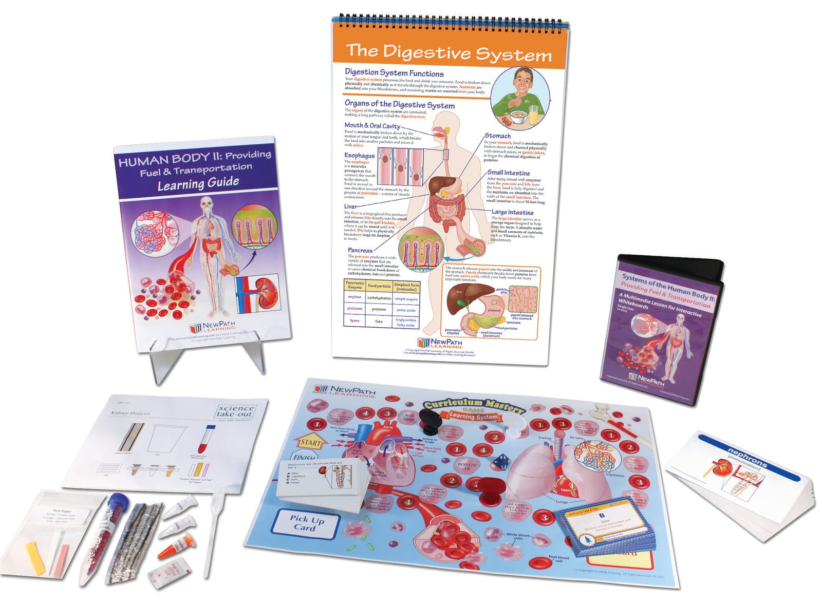Human Body II: Providing Fuel and Transportation Curriculum Learning Module