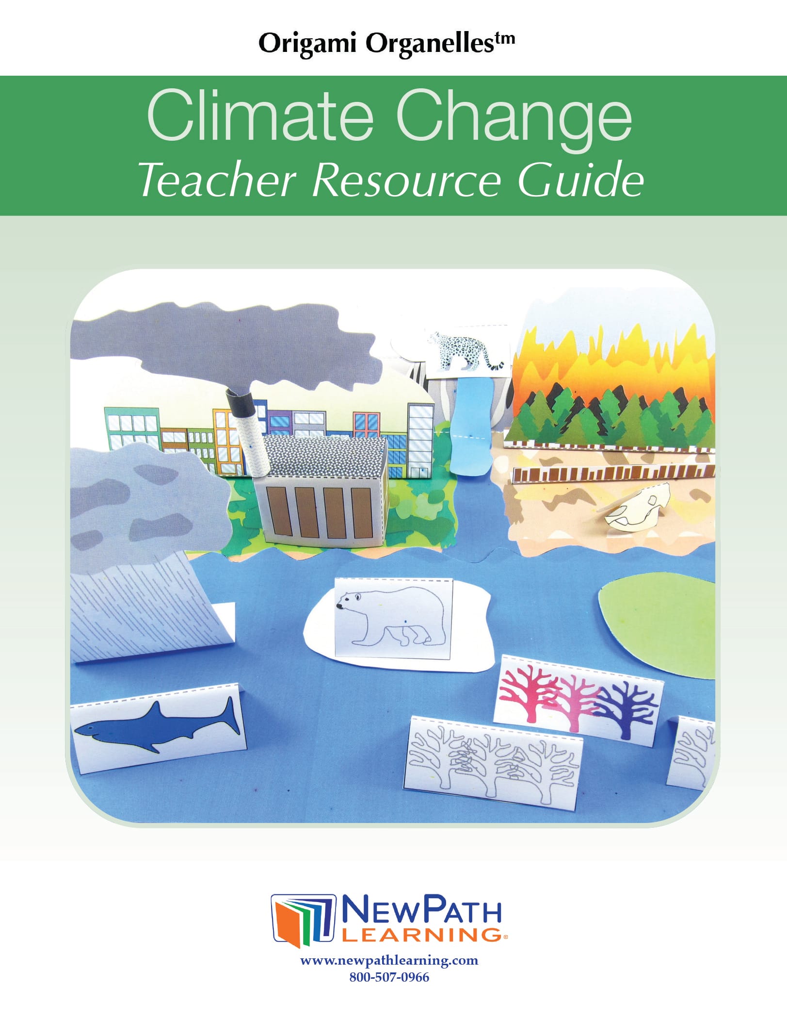 NewPath® Earth Science 3D Models