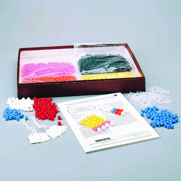 Ward's® Gel Electrophoresis Simulation Lab Activity