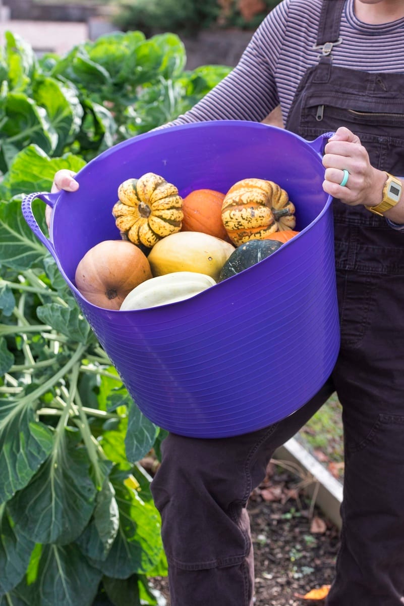 Gardener's Supply Company Gorilla Tub® Garden Utility Containers