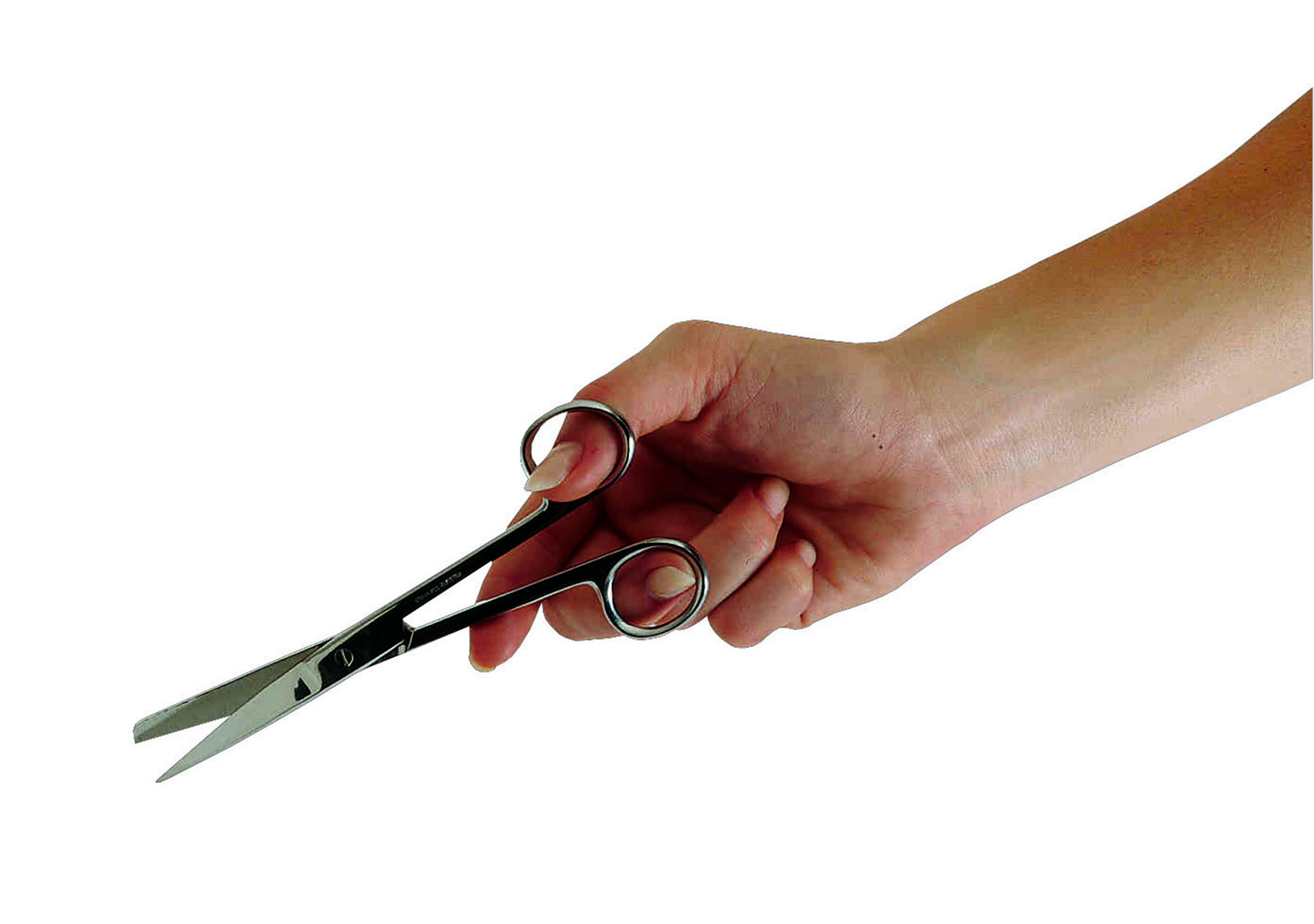 Surgical Scissors