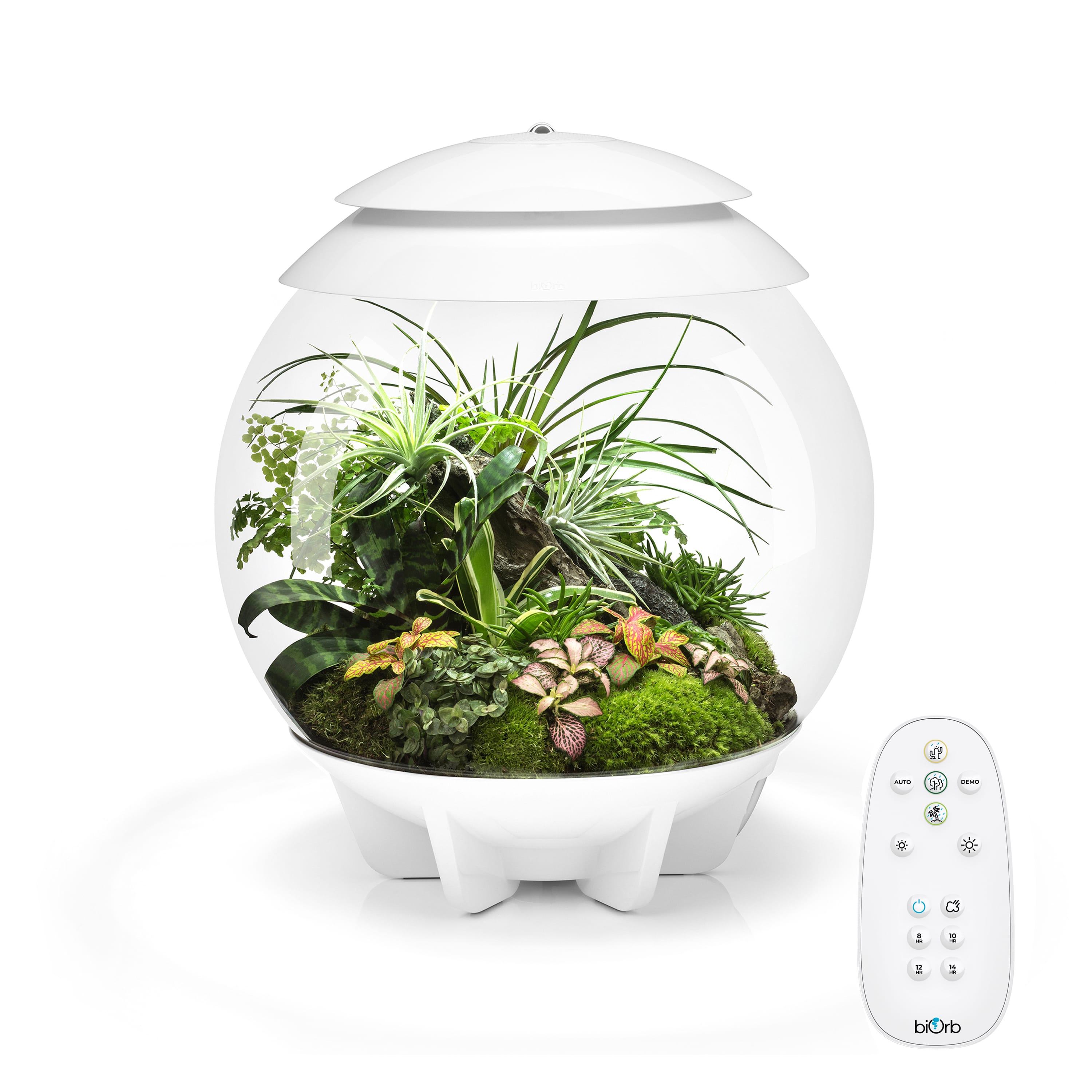 biOrb Air 30