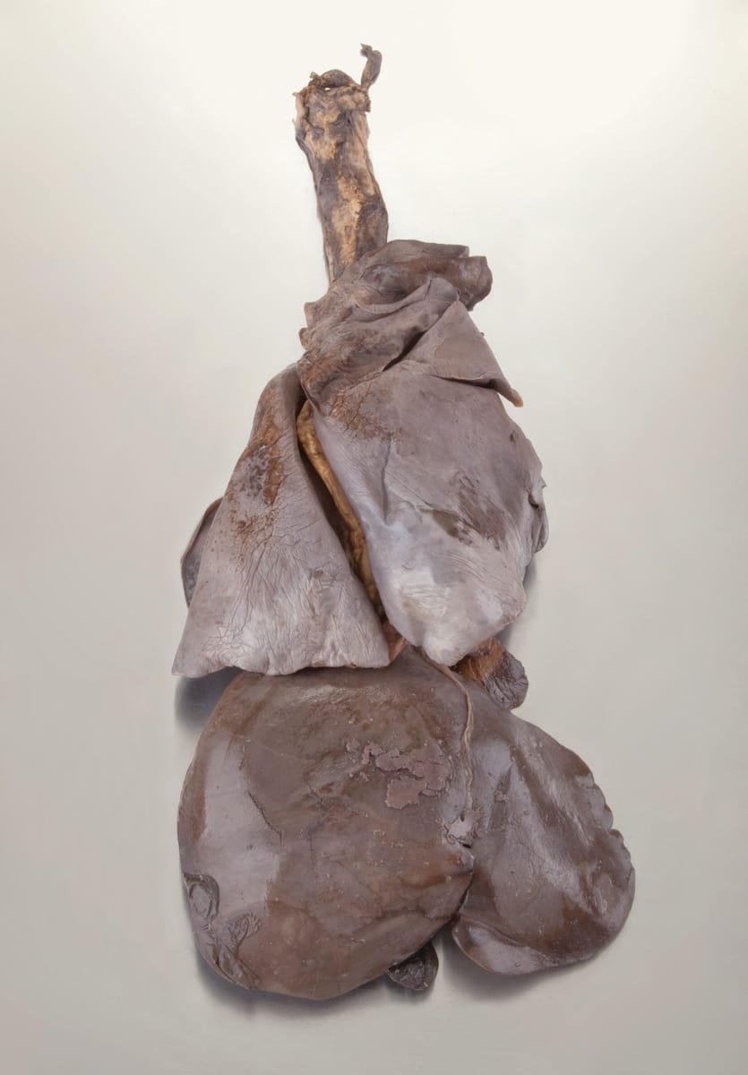 Ward's® Pure Preserved Whole Sheep Pluck