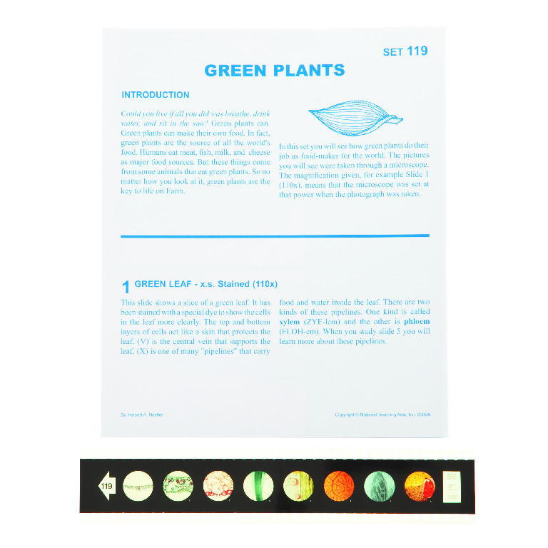 Green Plants Microslide