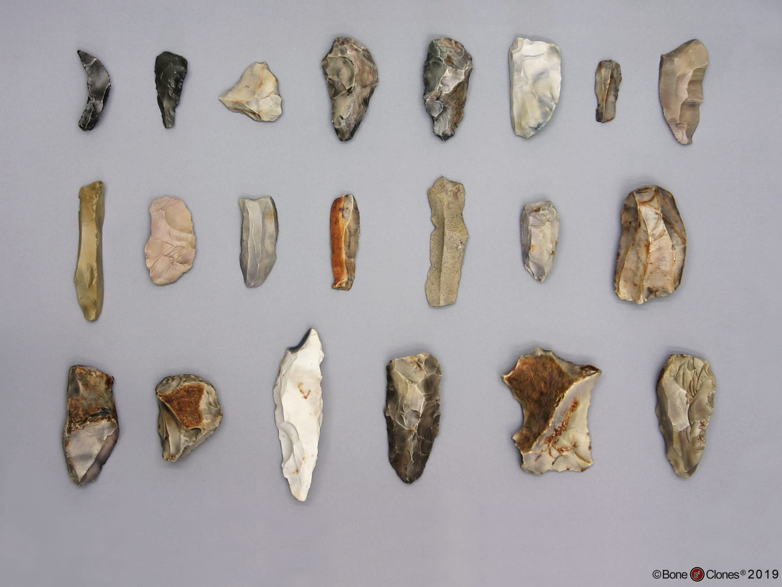 Bone Clones® Neanderthal Tools