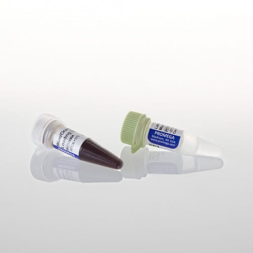 Promega DNA