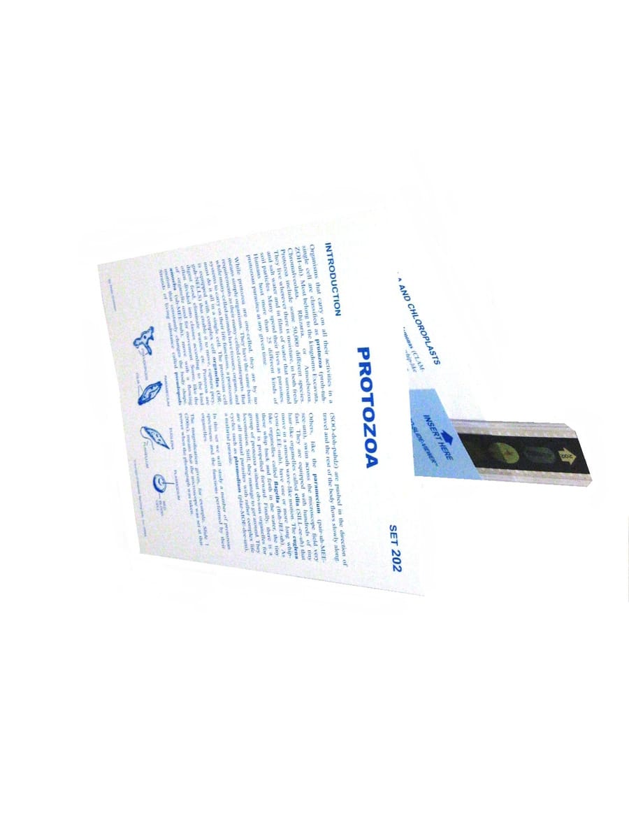 Protozoa Microslide
