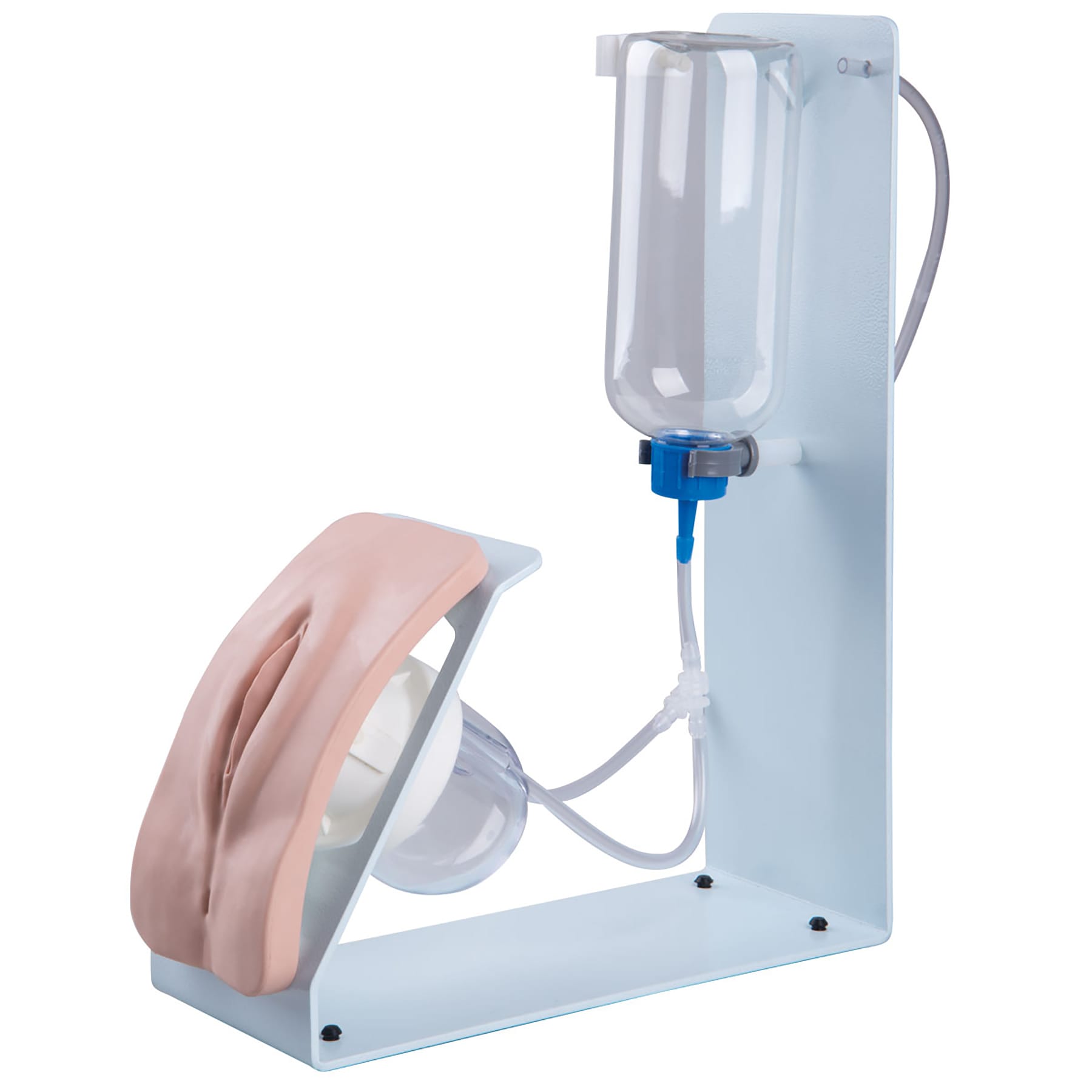 3B Scientific® Catheterization Trainers