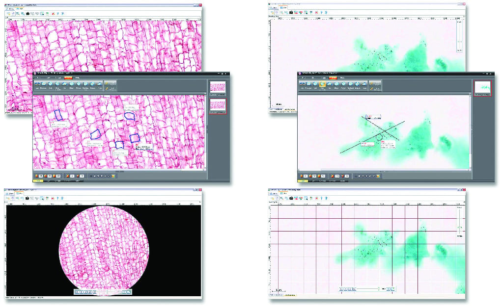 Ward's® Digital Slides: Middle School Life Science Set