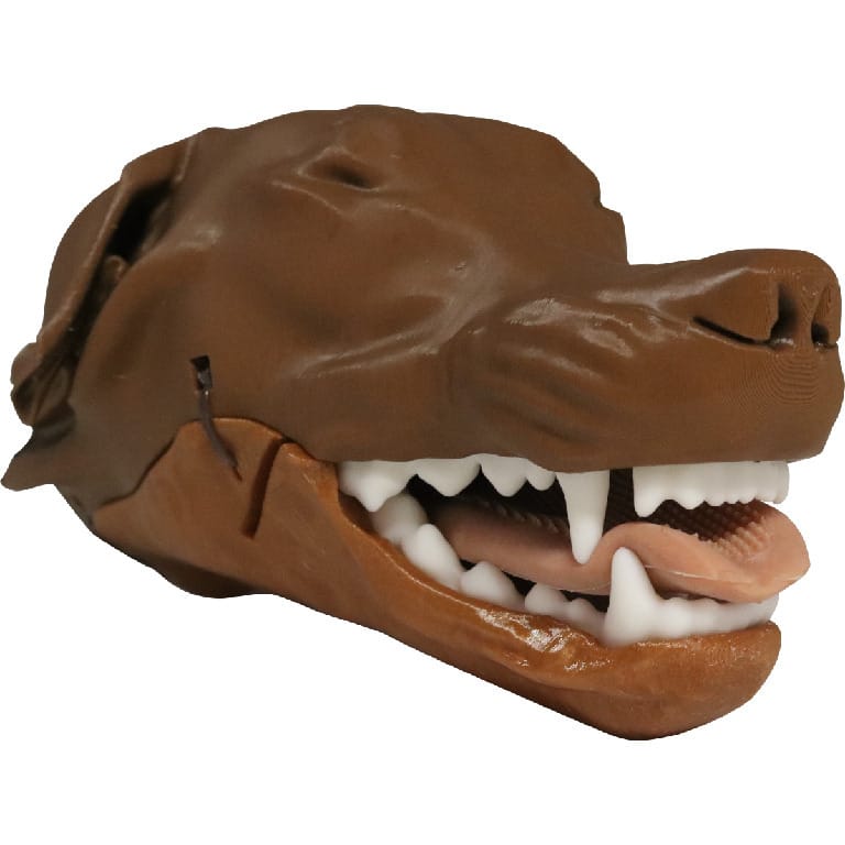 Med Dimensions® Canine Intubation Trainer