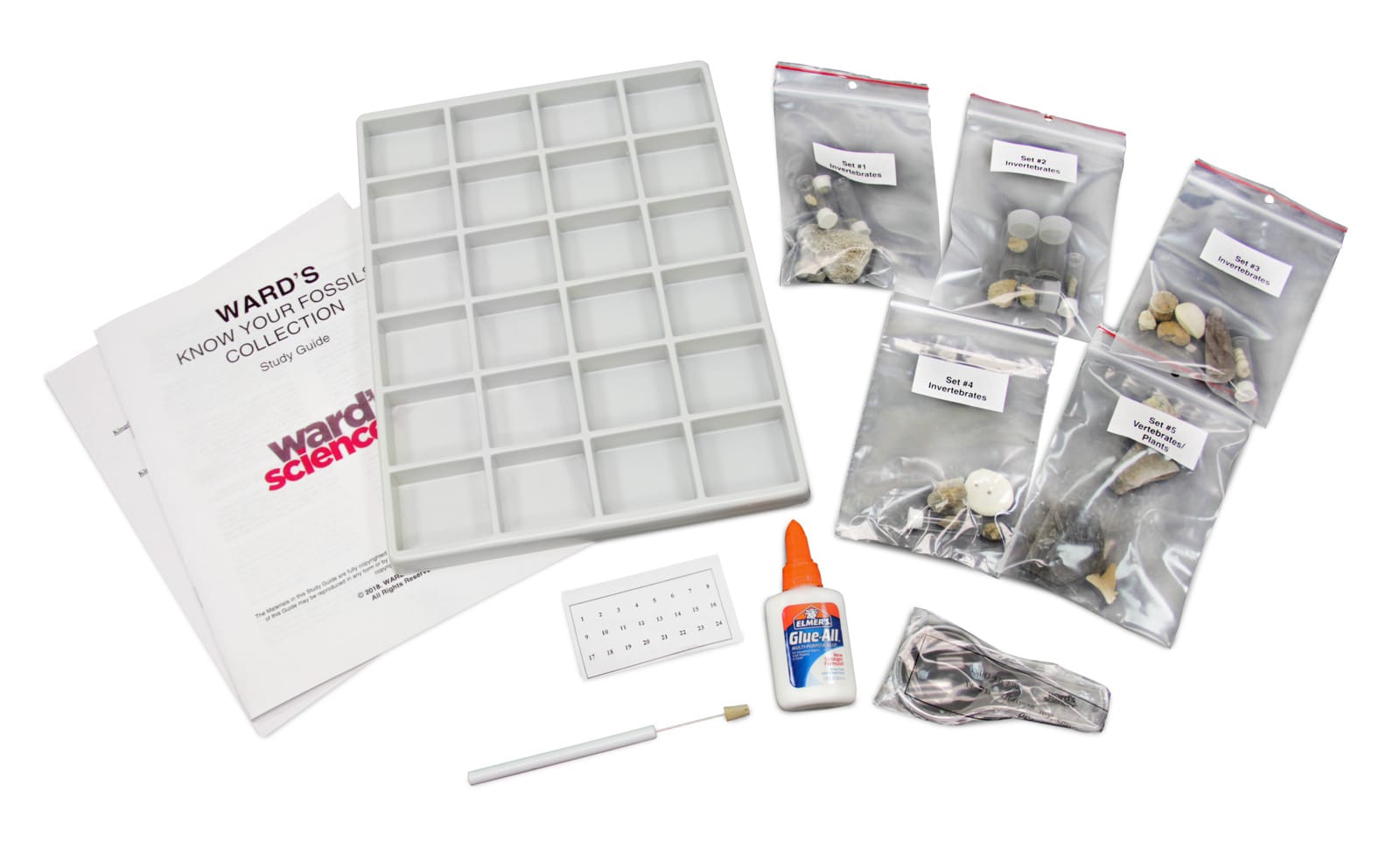 Ward's® Know Your Fossils Collection