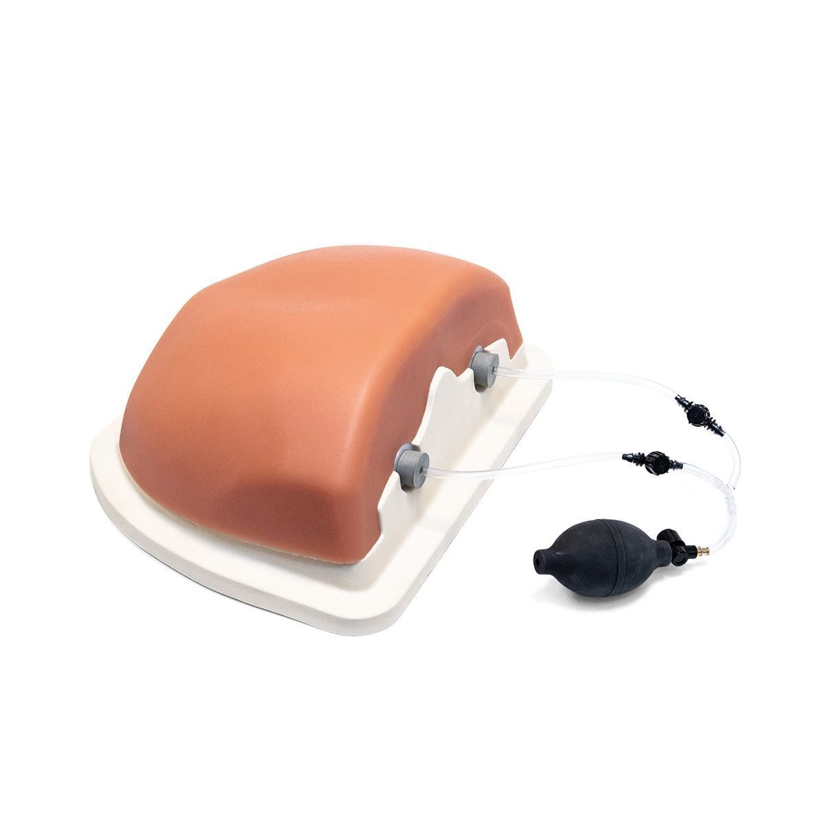 3B Scientific® Image Guided Thoracic Injection Trainer