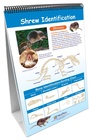 Owls and Owl Pellet Dissection Resources