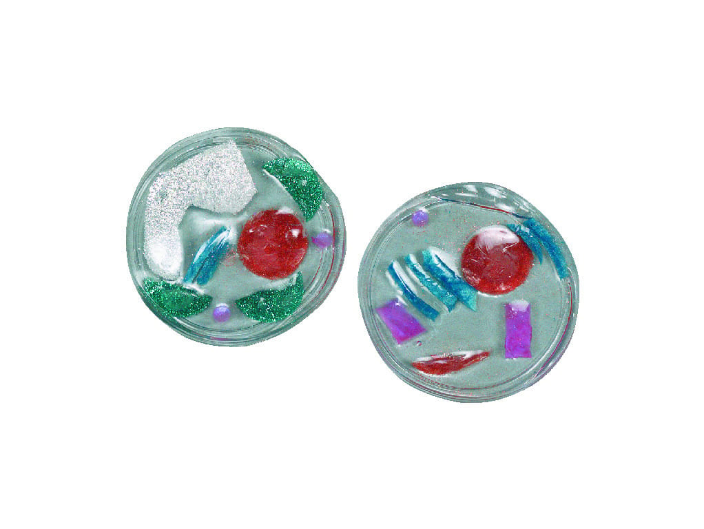 Plant and Animal Cell Model Kit