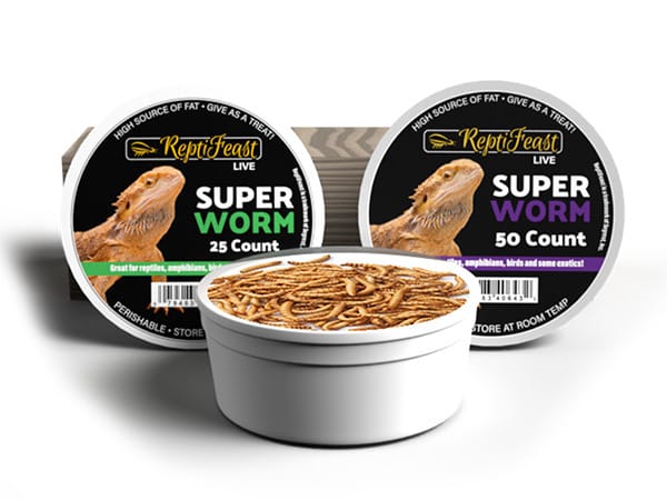 ReptiFeast Live Superworms (Zophobas morio)