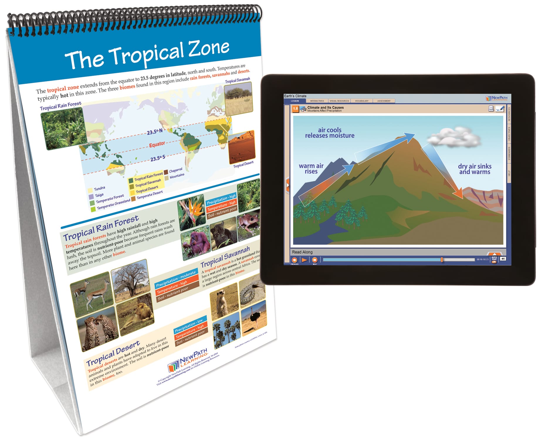 NewPath® Earth Science Skill Builder Flip Charts with Multimedia Lessons