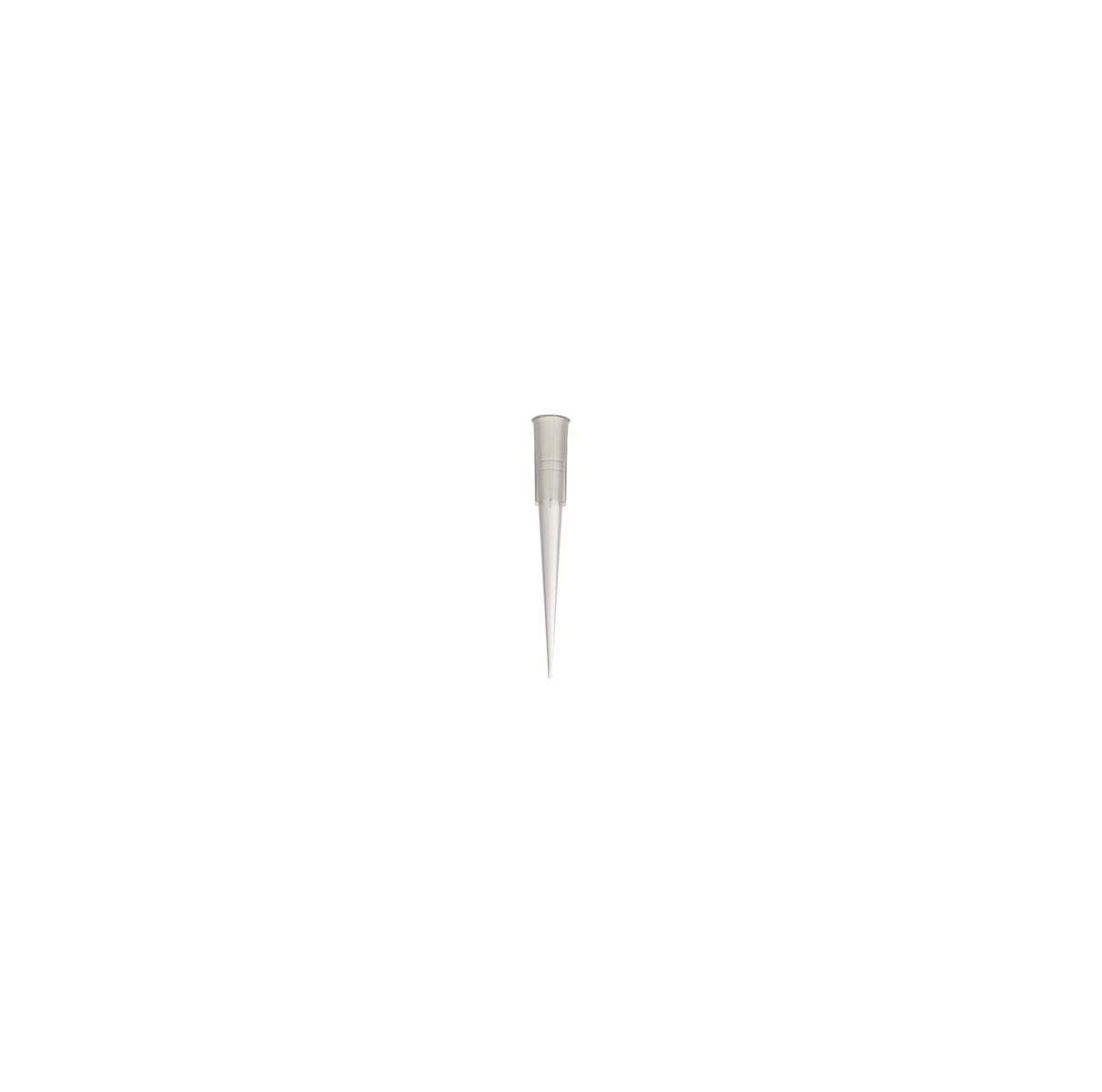 Micropipette Tips, PP, United Scientific Supplies