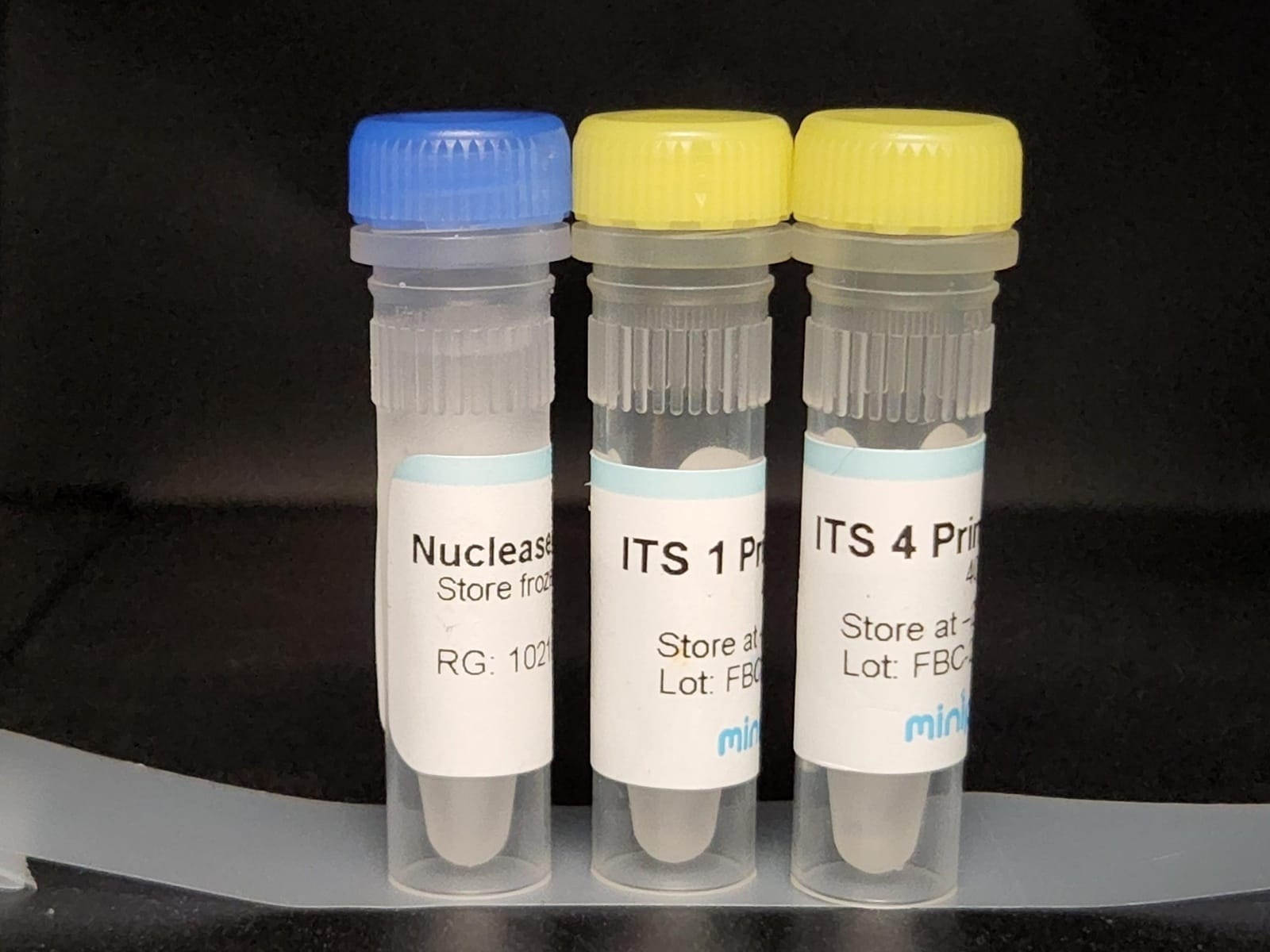 miniPCR® Mushroom ID Project: Fungal DNA Barcoding Kits