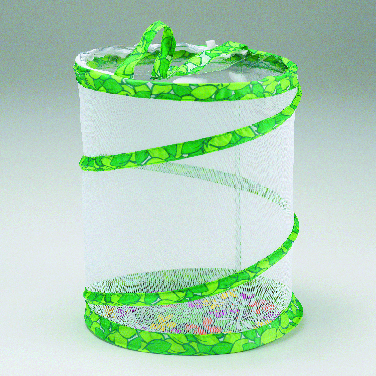 Insect Lore Butterfly Garden Growing Kit