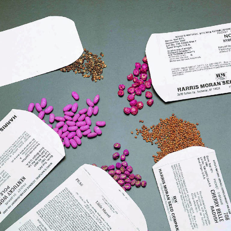 Ward's® Seed Germination Kit