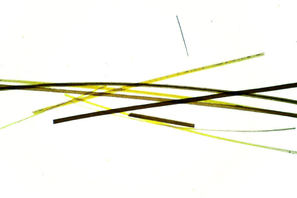 Ward's® Whole-Mounted Hair Slides
