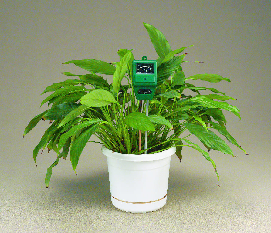 pH, Moisture, Light Meter