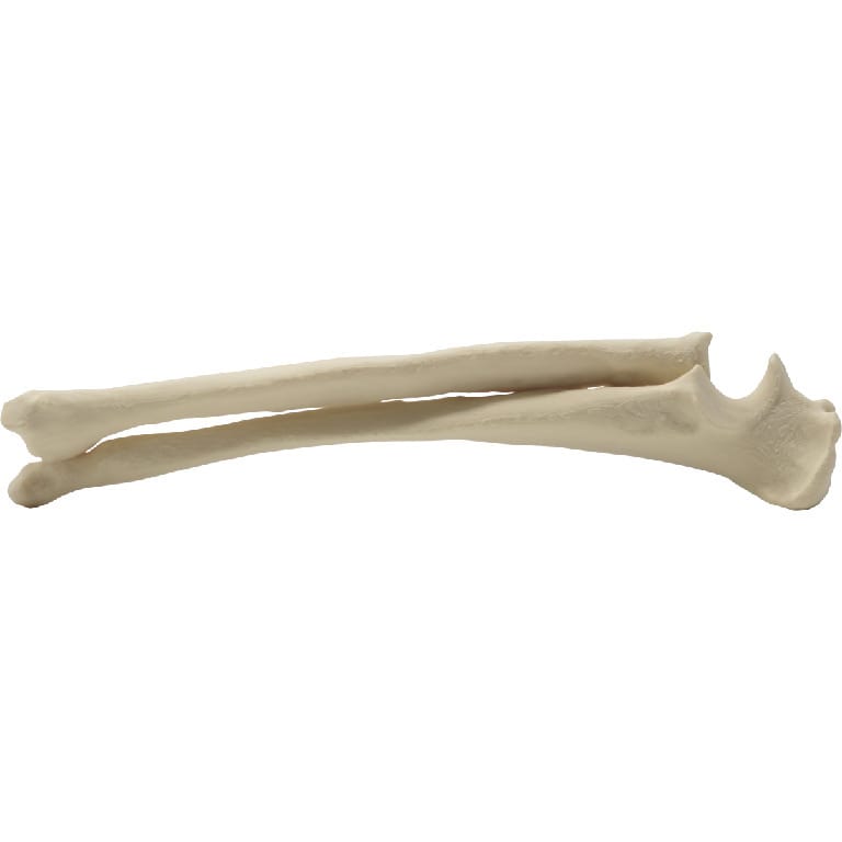Med Dimensions® Vet Bones, Canine
